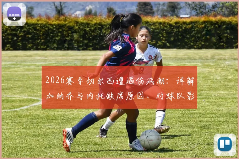 2026赛季切尔西遭遇伤病潮:详解加纳乔与内托缺席原因、对球队影响及球迷应对策略
