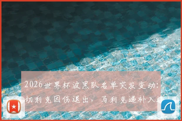 2026世界杯波黑队名单突发变动:切利克因伤退出,马利克递补入选影响分析与球员实力解读