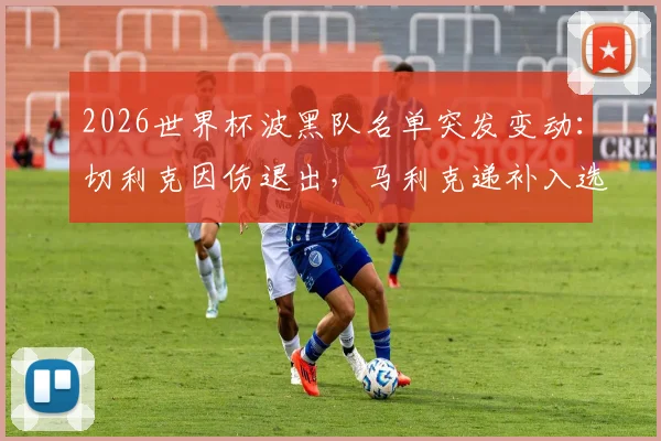 2026世界杯波黑队名单突发变动：切利克因伤退出，马利克递补入选影响分析与球员实力解读