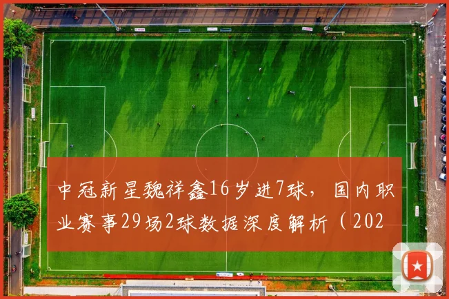 中冠新星魏祥鑫16岁进7球，国内职业赛事29场2球数据深度解析（2026最新）